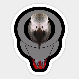 African Grey Parrot Hoodie Sticker